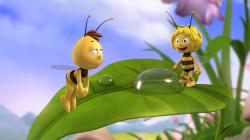 Včielka Maja - Nové dobrodružstvá obrazok