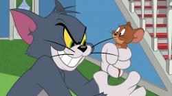 Nové dobrodružstvá Toma a Jerryho obrazok