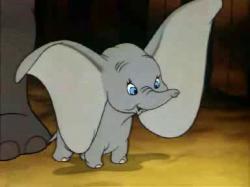 Dumbo obrazok