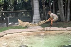 Lovec krokodýlů obrazok