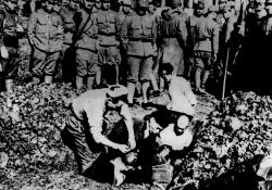 Masakr na vlastní oči: Nanking 1937