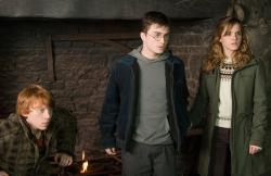 Harry Potter a Fénixův řád obrazok