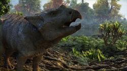 Dinosauři a jejich lovci obrazok
