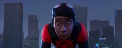 Spider-man: Into The Spider-verse Special Fillers I obrazok