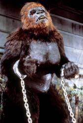 King Kong žije obrazok