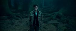 Harry Potter a Dary smrti 1 obrazok
