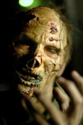 Zombies: Den-D přichází obrazok