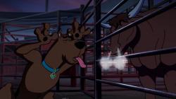 Scooby-Doo: Shaggyho souboj