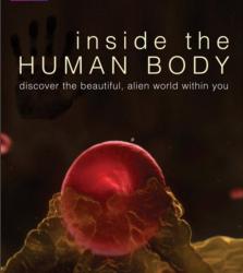 Uvnitř lidského těla