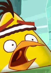 Angry Birds obrazok