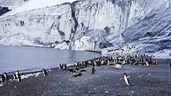 Antarktida z ptačí perspektivy