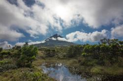 Kamera na cestách: Azorské souostroví, zahrada uprostřed oceánu obrazok