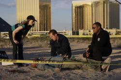 C.S.I.: Kriminálka Las Vegas