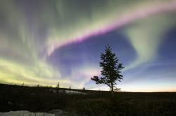 Aljaška: Rok v divočině obrazok