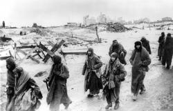 Bitva u Stalingradu