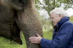 David Attenborough - Zázraky přírody