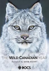 Kanada: Rok v divočině