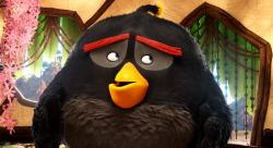 Angry Birds ve filmu obrazok