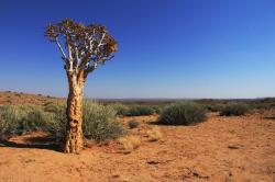 Na cestě po západní Namibii