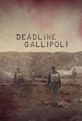 Bitka o Gallipoli