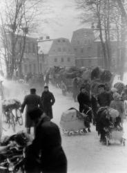 Evropa 1945: Stěhování národů