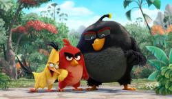Angry Birds ve filmu obrazok