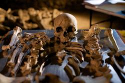 Pompeje: Kdyby kostry mohly mluvit obrazok