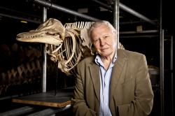 Attenborough: 60 let v divočině obrazok