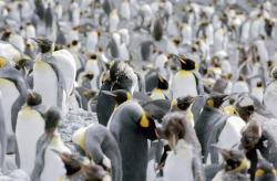 Antarktida z ptačí perspektivy obrazok