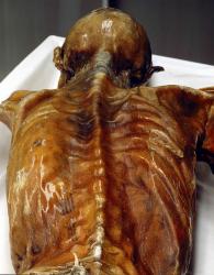 Ötziho pitva obrazok