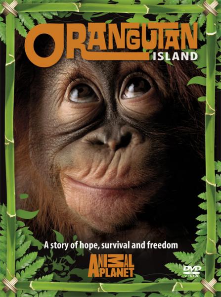 Otok orangutanov