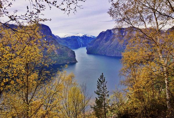 Norské fjordy - život za šera