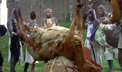 Monty Python a Svatý Grál obrazok