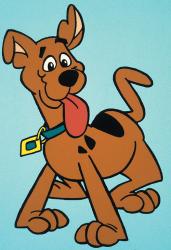 Štěně jménem Scooby Doo obrazok