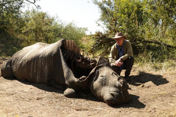 Záchrana slonů v Africe - Hughe a Pobřeží slonoviny