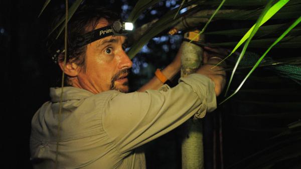 Putování džunglí s Richardem Hammondem