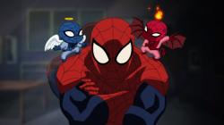 Ultimate Spider-Man obrazok