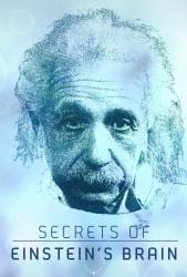 Tajemství Einsteinovy mysli