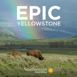 Velkolepý Yellowstone